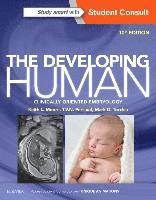 The Developing Human